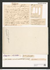 Nitzschia obtusa var. brevissima var. scalpelliformis Grunow (de-Toni-Nr.: Genus 47, Species 2107) Zeichnungen Sammlung Grunow (NHMW-BOT-W0372130)